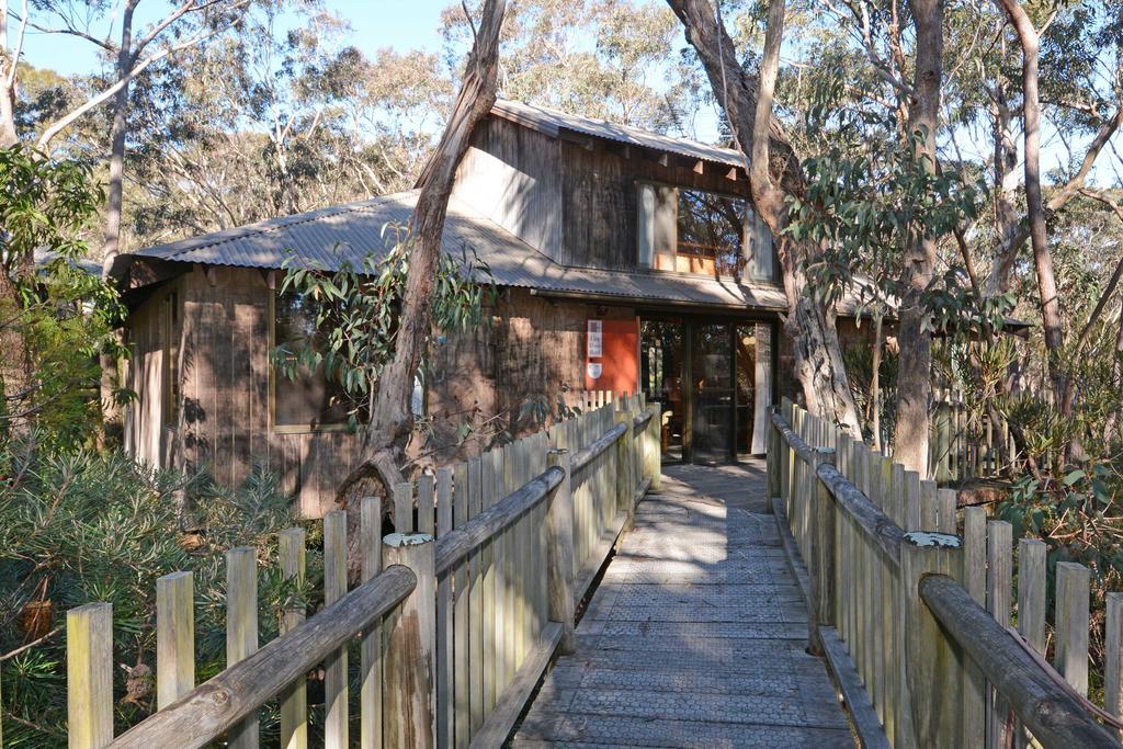 Jemby Rinjah Ecolodge Blackheath Camera foto